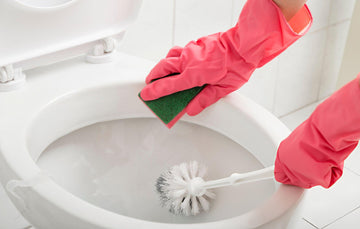 How to Clean a Toilet the Right Way? Complete Guide