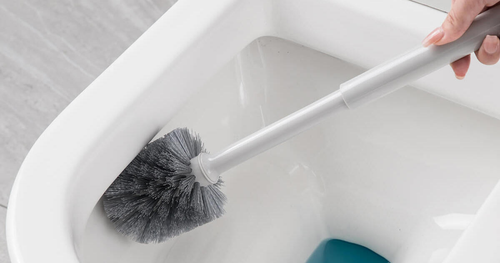 How to Clean a Toilet Brush and Holder: The Ultimate Guide